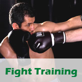 Fight Training